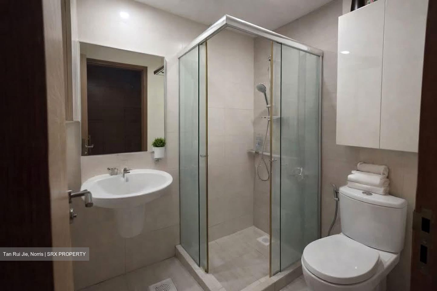 The Sunny Legend (D15), Apartment #538062031